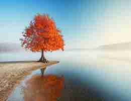 自‍然‍语﻿言﻿处‍理﻿简‌明‌教‍程﻿